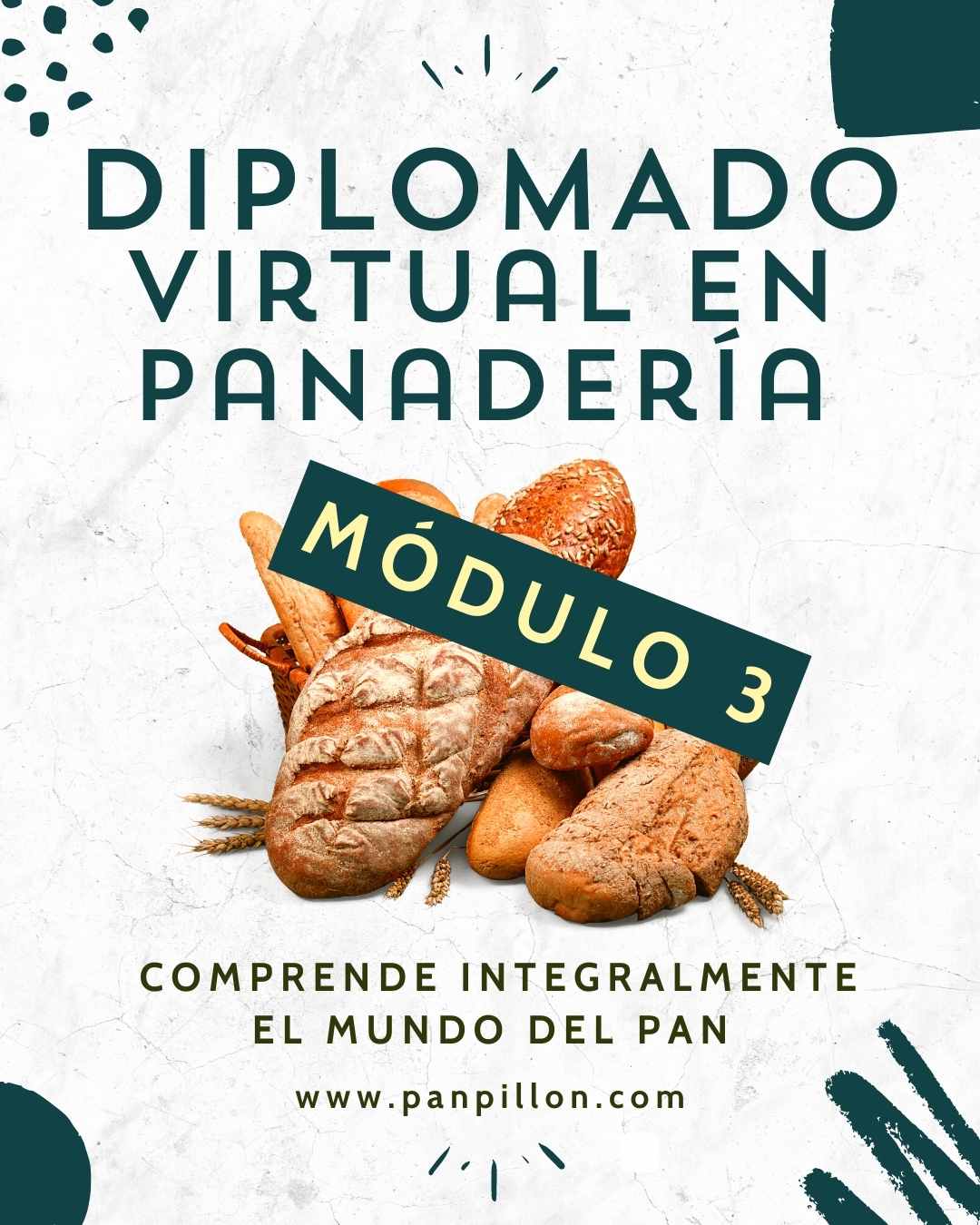 Módulo 3 – Panadería colombiana y método directo (Diplomado virtual en panadería)