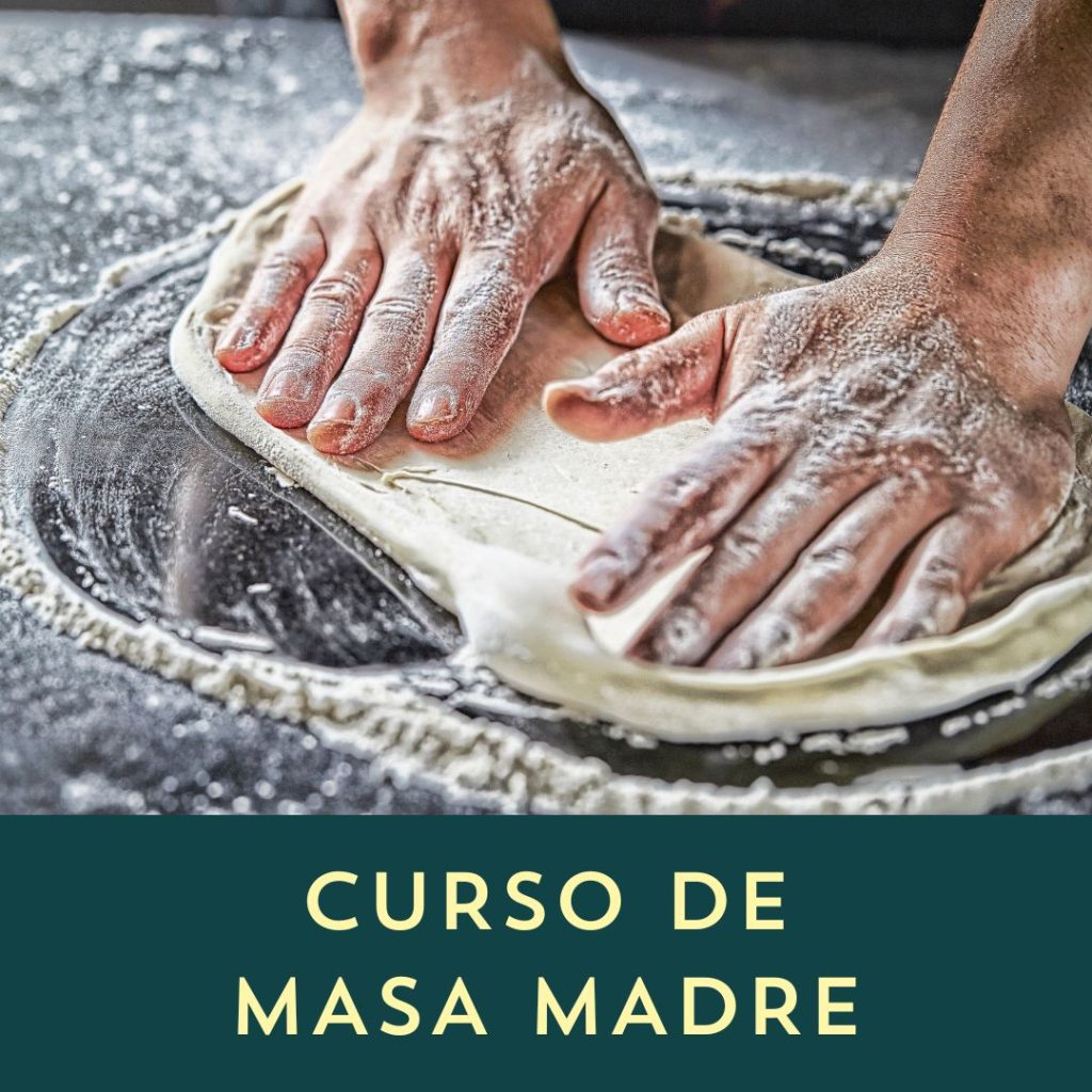 Formación En Panadería Con Masa Madre - PanPillón Taller De Panadería